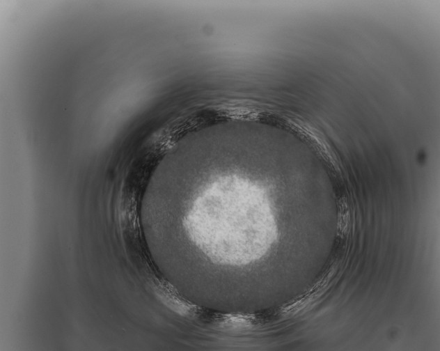 X0000095960573200801181448