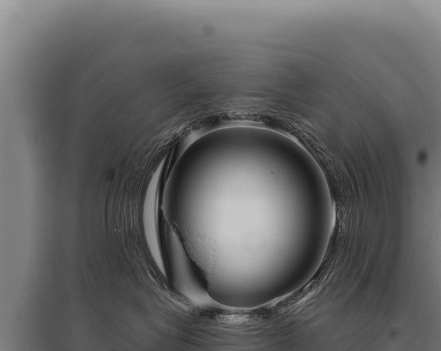 X0000095960575200801181448