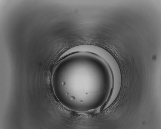 X0000095960576200801181448