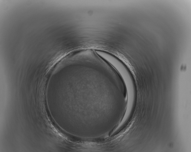 X0000095960577200801181447