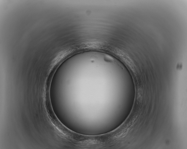 X0000095960578200801181447