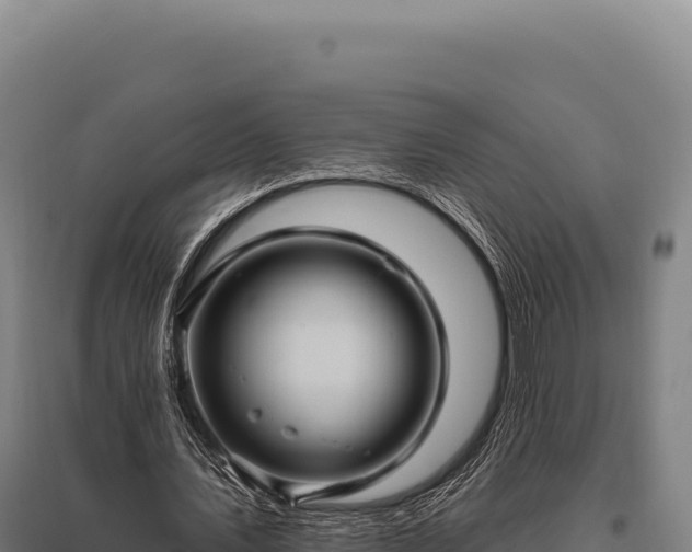 X0000095960579200801181447