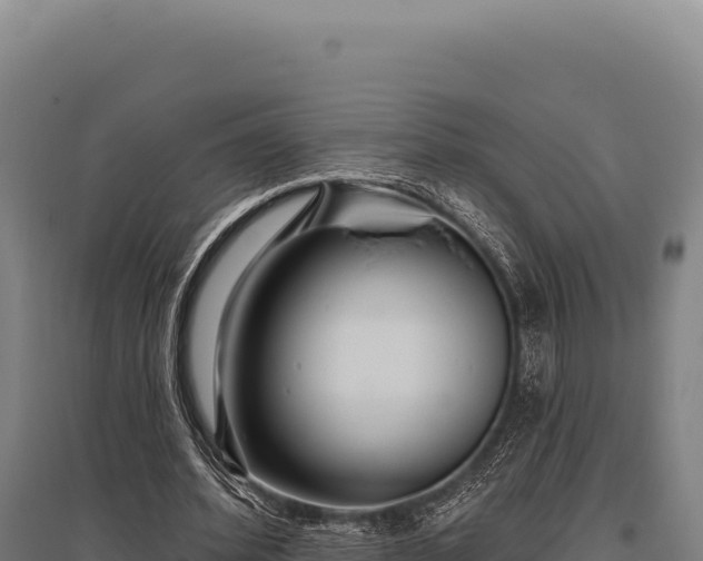 X0000095960580200801181447