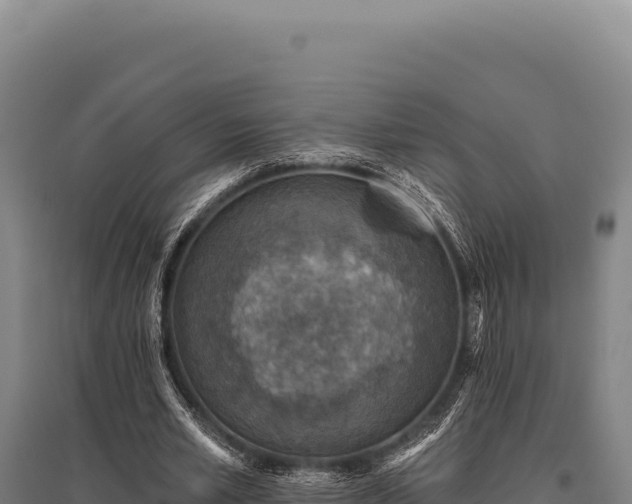 X0000095960581200801181447