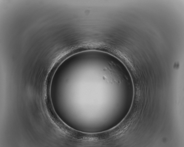 X0000095960582200801181447