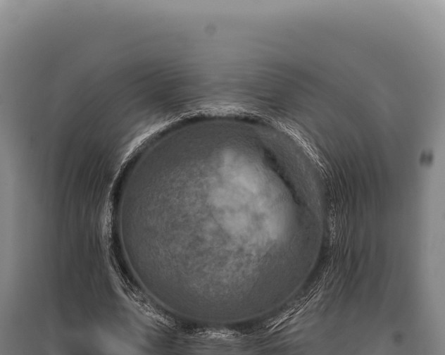 X0000095960583200801181447