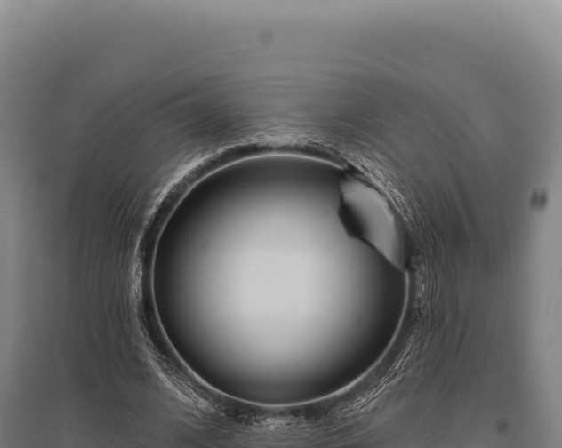 X0000095960584200801181447