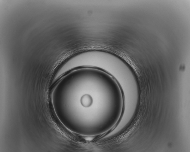 X0000095960585200801181447