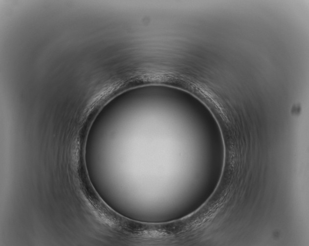 X0000095960586200801181447