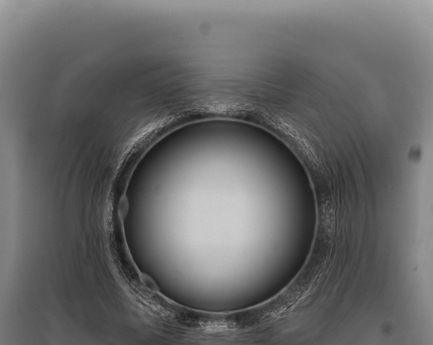 X0000095960587200801181447