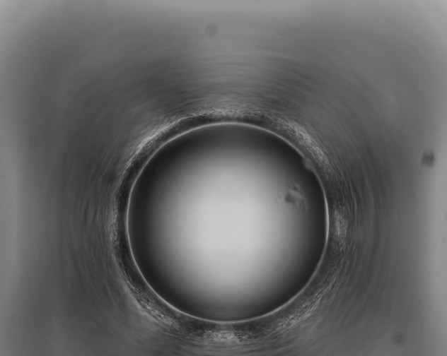 X0000095960588200801181447