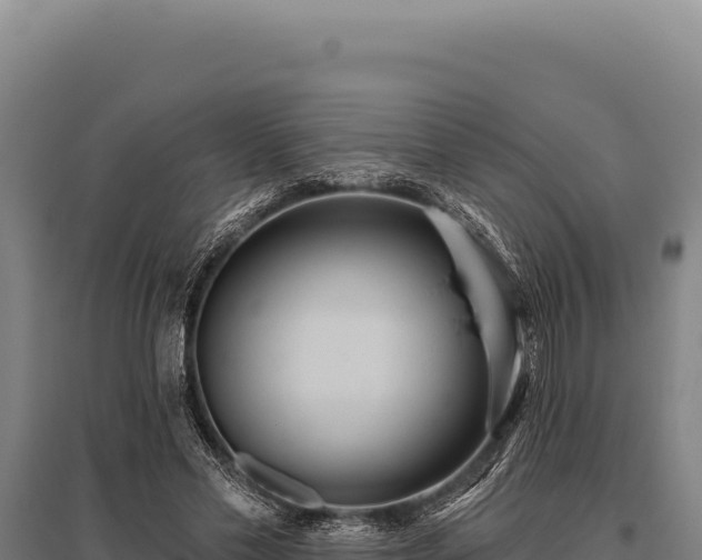 X0000095960589200801181447