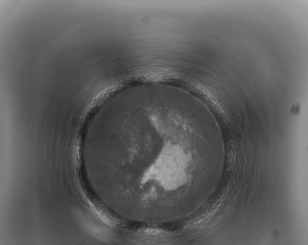 X0000095960590200801181447