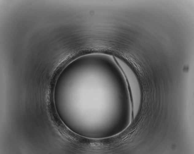 X0000095960591200801181447