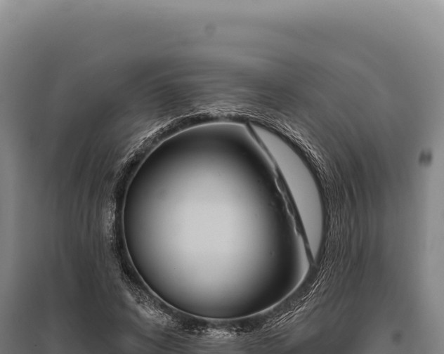 X0000095960592200801181447