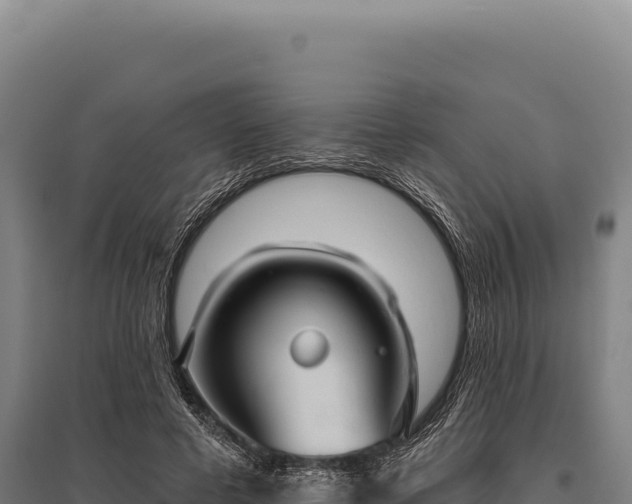 X0000095960593200801181447