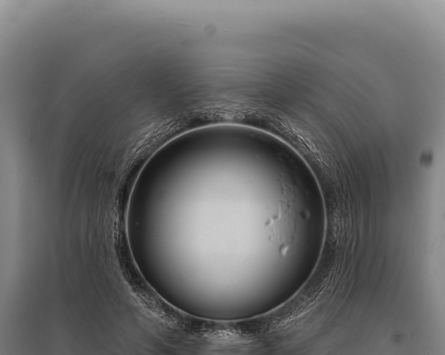 X0000095960594200801181447