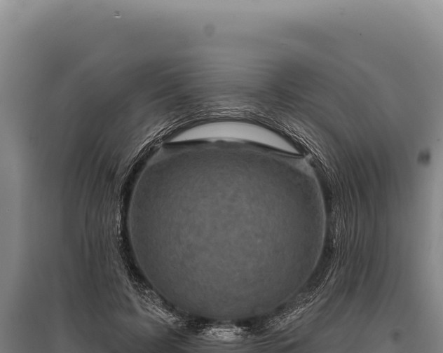 X0000095960595200801181447