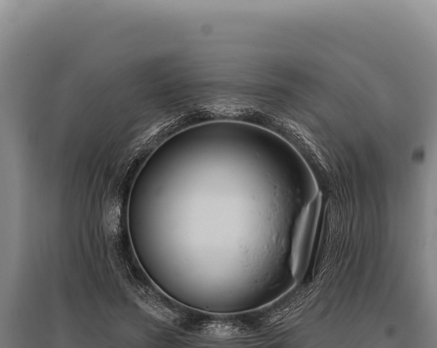 X0000095960596200801181447