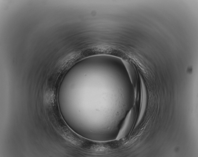 X0000095960597200801181447