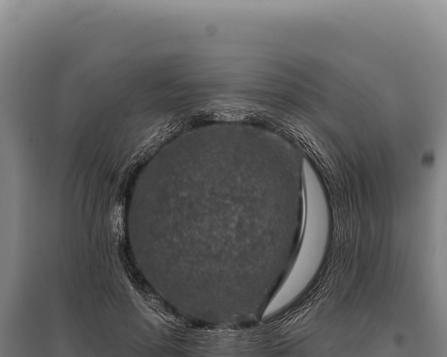 X0000095960598200801181447