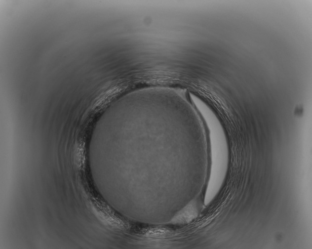 X0000095960599200801181447