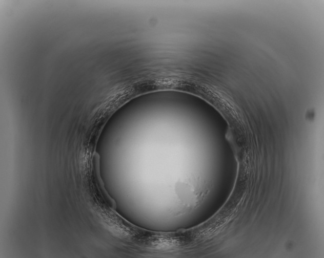 X0000095960601200801181447