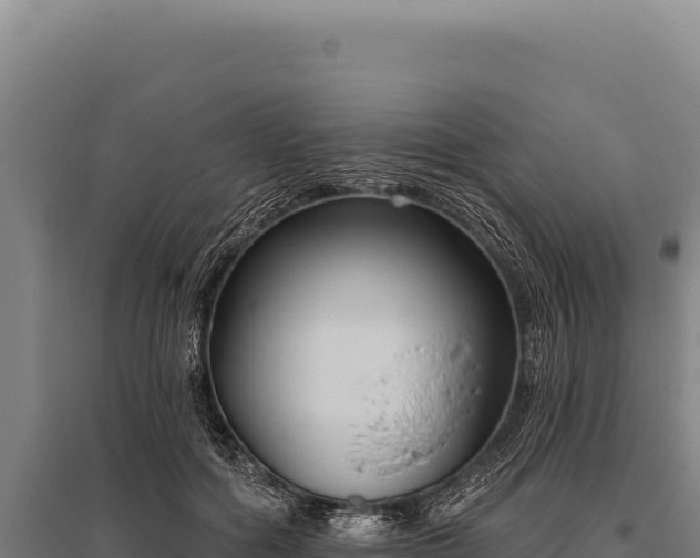 X0000095960602200801181447