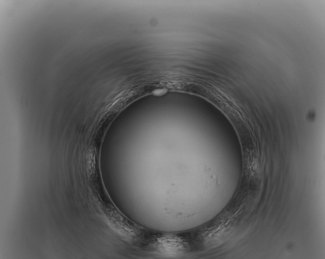 X0000095960603200801181447