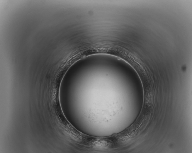 X0000095960604200801181447