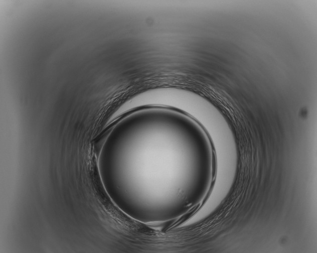 X0000095960605200801181447