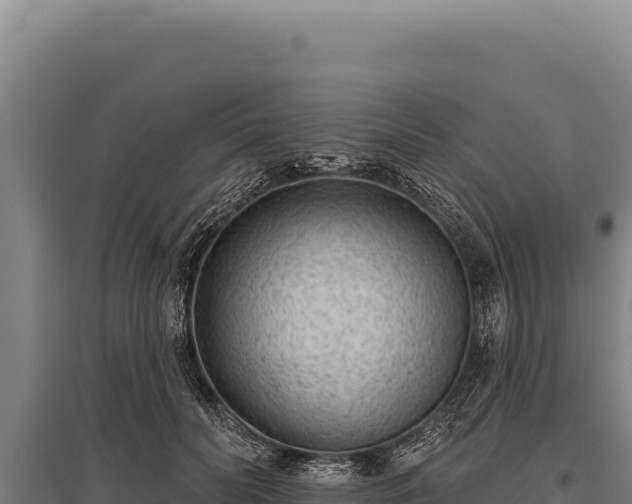 X0000095960606200801181447