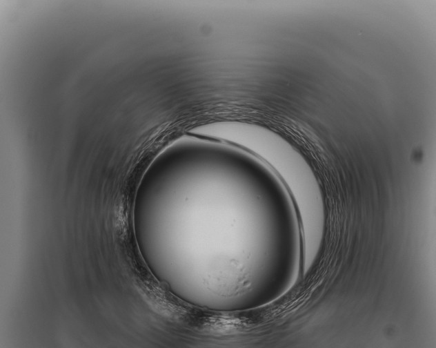 X0000095960607200801181447