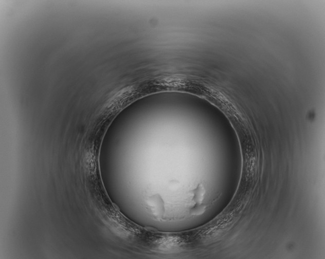 X0000095960609200801181447