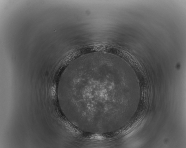 X0000095960610200801181447