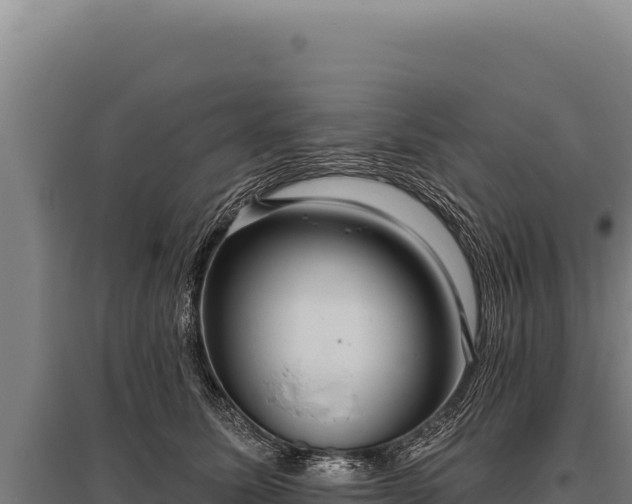 X0000095960611200801181447