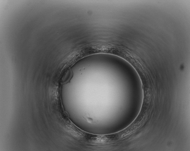 X0000095960612200801181447