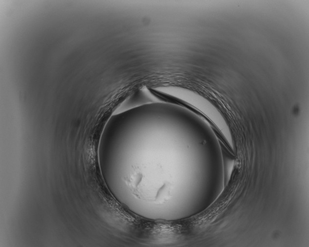 X0000095960613200801181447