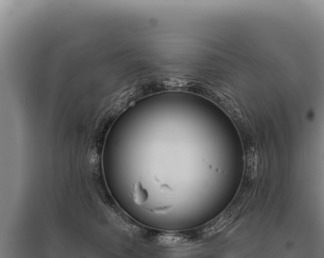 X0000095960614200801181447