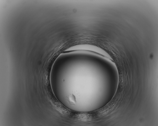 X0000095960615200801181447