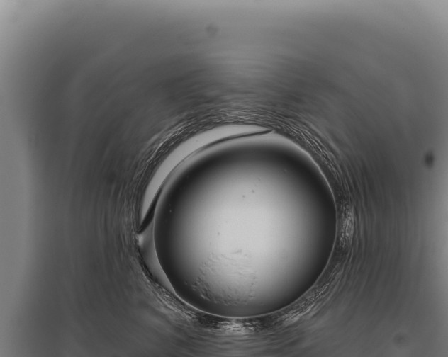 X0000095960616200801181447