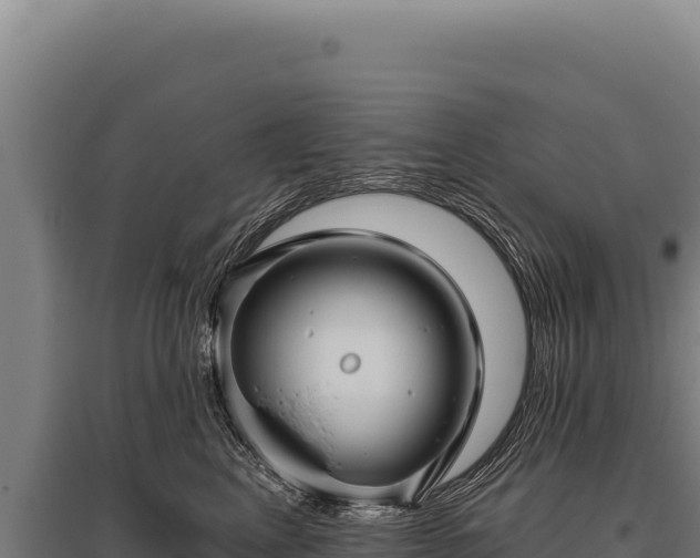 X0000095960617200801181447