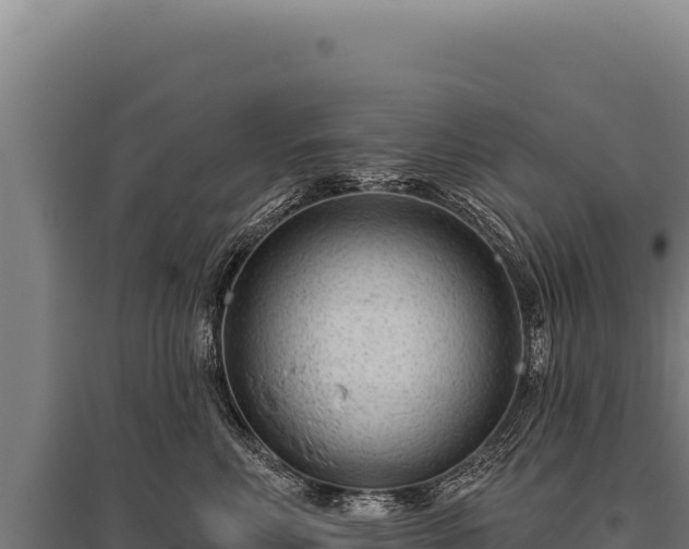 X0000095960618200801181447