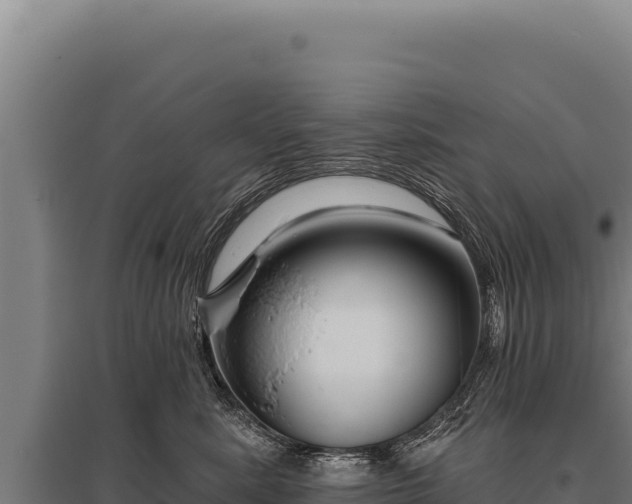 X0000095960619200801181447