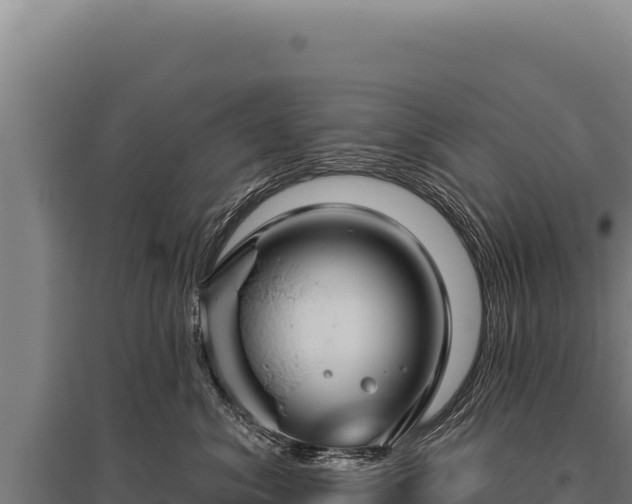 X0000095960620200801181447