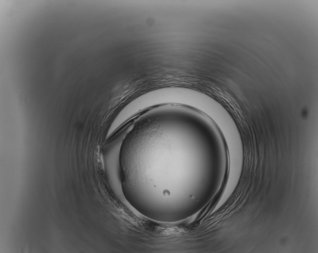 X0000095960621200801181447