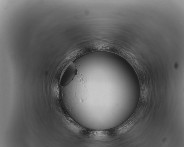 X0000095960622200801181447