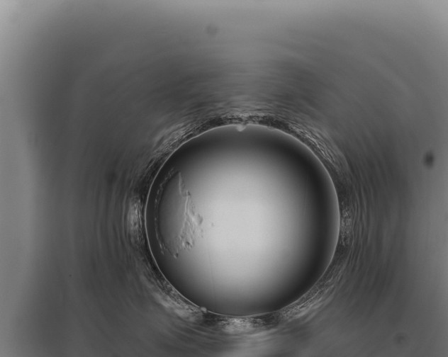 X0000095960623200801181447