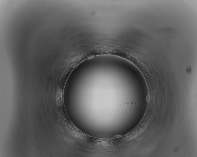 X0000095960624200801181446