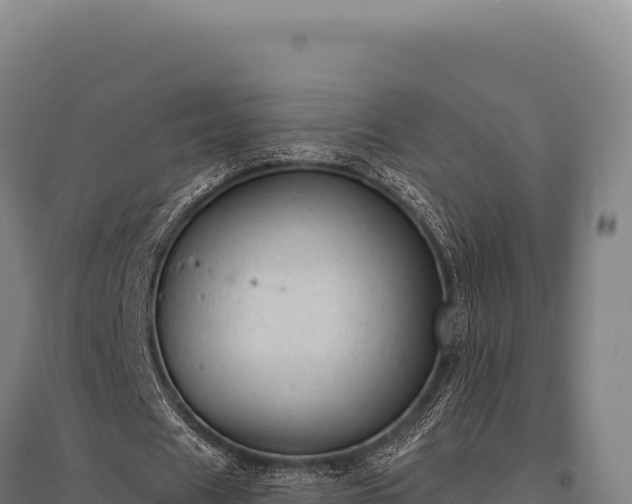 X0000095960625200801181446